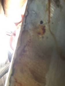 IMG_2794 IMG_2794