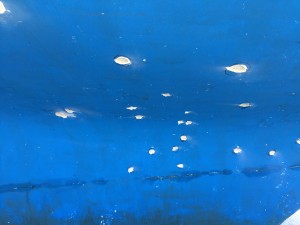IMG_4488