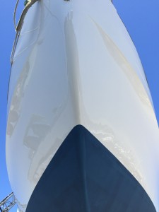 IMG_4526
